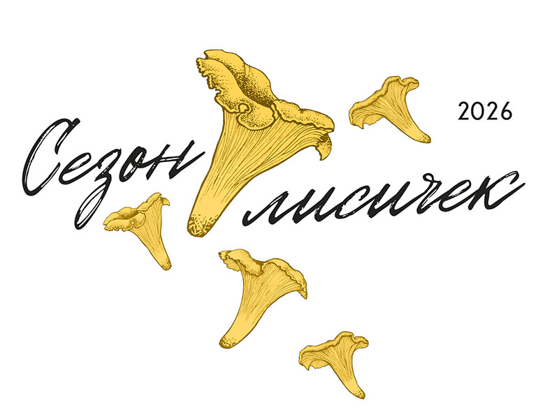 Нутрия с пюре овощами и соусом с лисичками